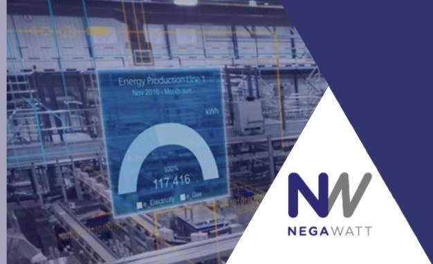 Eficiencia y Gestión de la Energía - CMPC Maule Externos